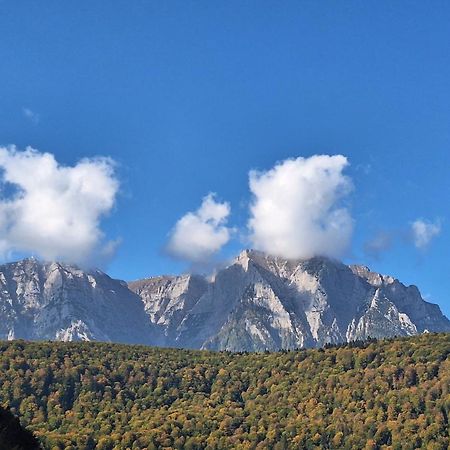 Отель Casa Antonia Азуга Экстерьер фото